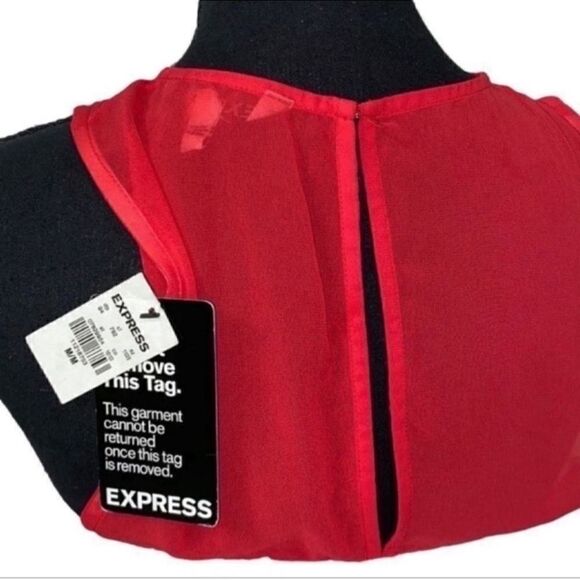 Express Pink & Red Dress(Size Medium) - Picture 4 of 6